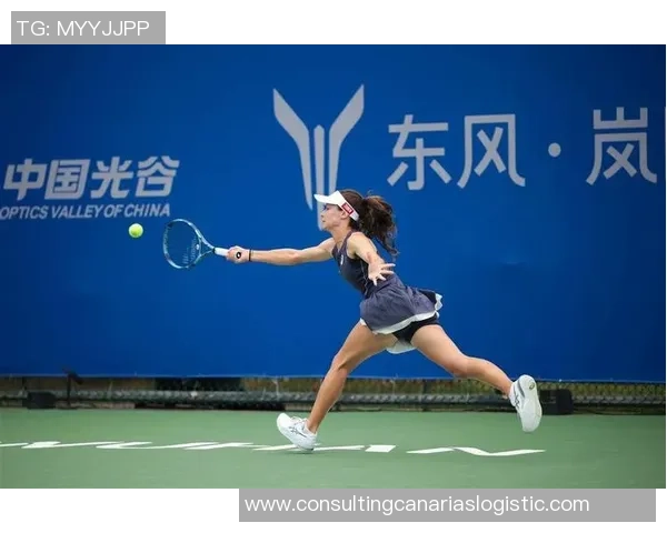 武汉网球队在网球节奏排行榜中荣获第九名展现出强劲实力与潜力