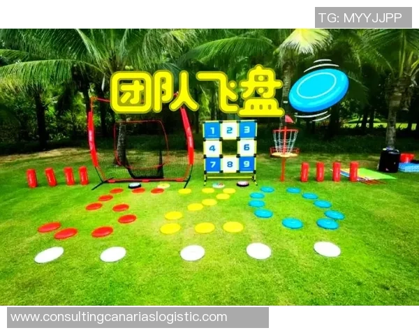 2026飞盘状态排行榜：深圳飞盘队位居第1名